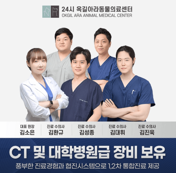 부천시 소사구 동물병원