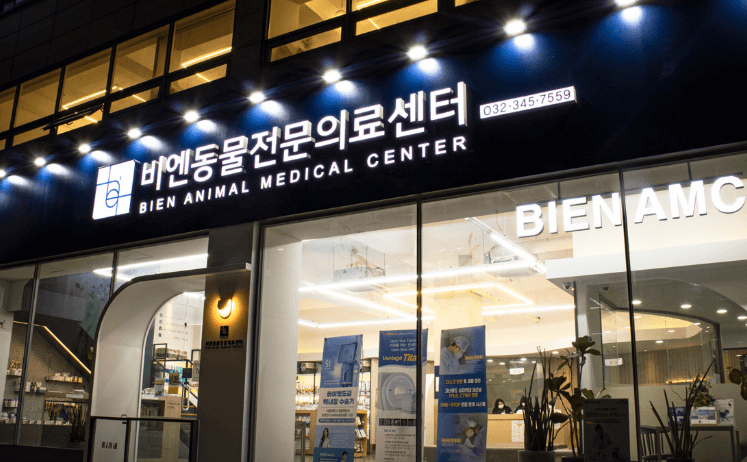 부천시 소사구 동물병원