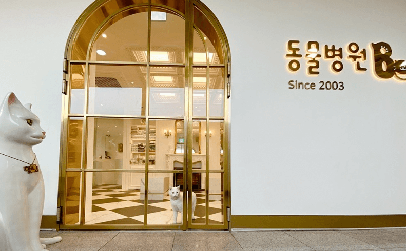 부천시 소사구 동물병원