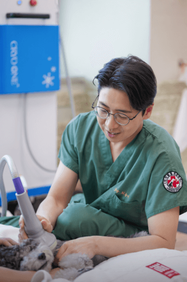 부천시 원미구 동물병원