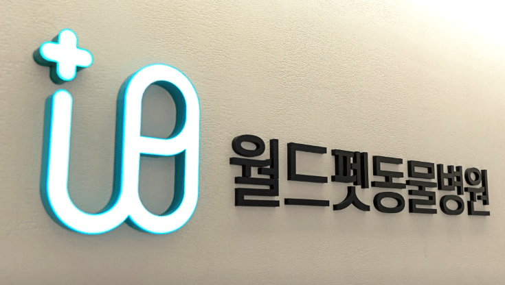 부천시 원미구 동물병원