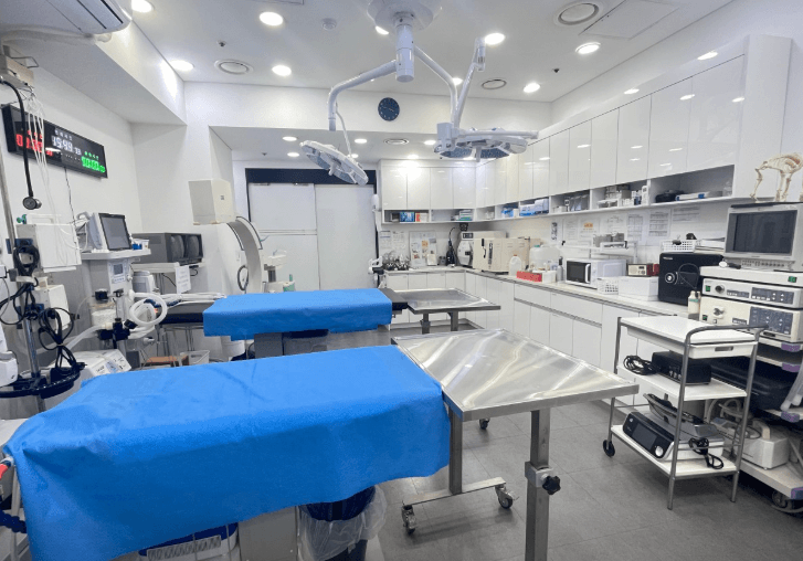 부천시 원미구 동물병원