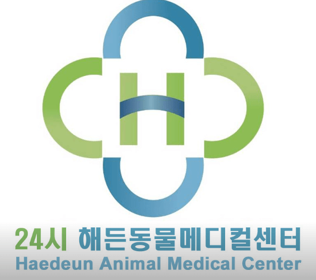 부천시 원미구 동물병원