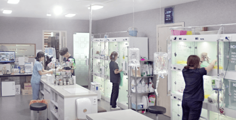 부천시 오정구 동물병원