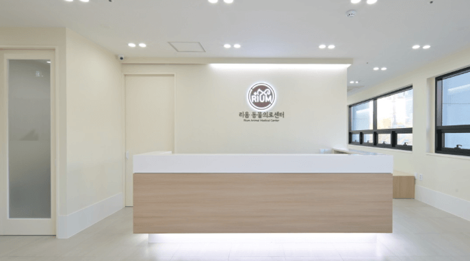 부천시 오정구 동물병원