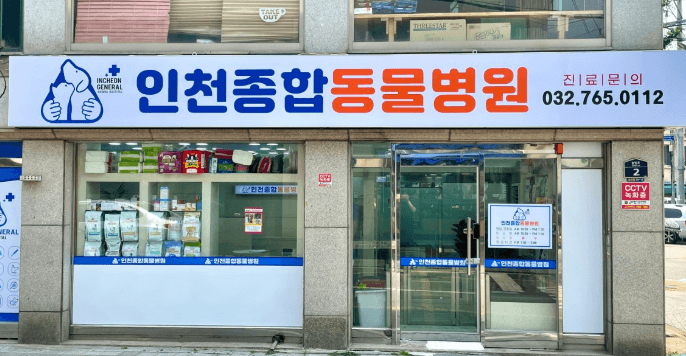 인천 동구 동물병원