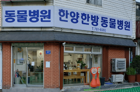 인천 동구 동물병원