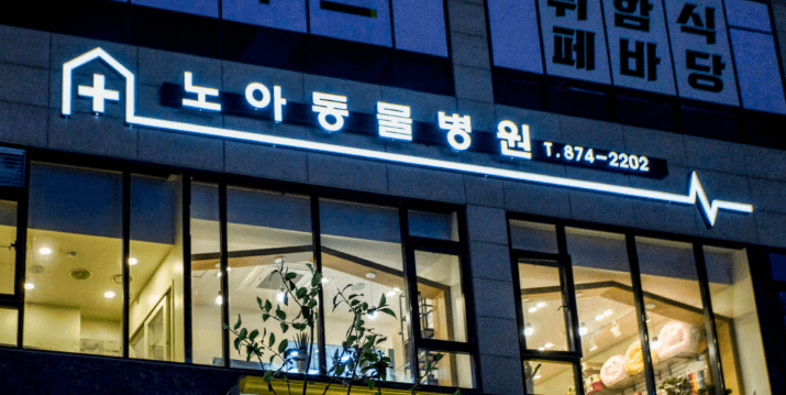 인천 동구 동물병원