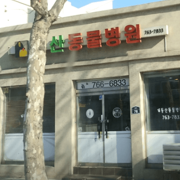 인천 동구 동물병원