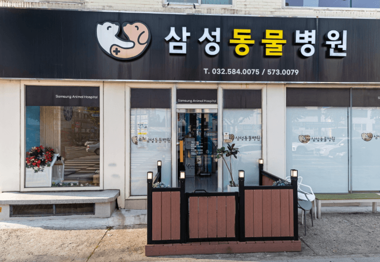 인천 동구 동물병원