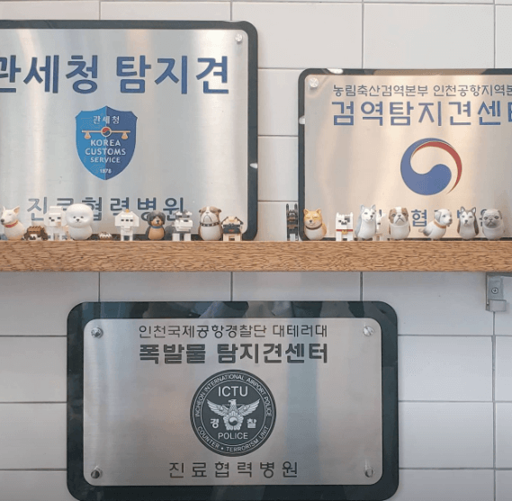 인천 중구 동물병원