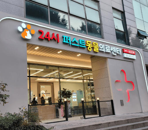 인천 미추홀구 동물병원