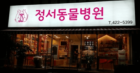 인천 남동구 동물병원