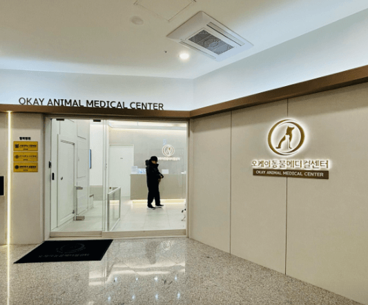 인천 연수구 동물병원