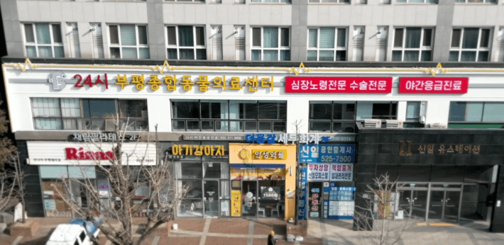 인천 부평구 동물병원