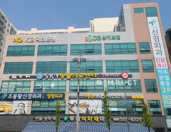 인천 부평구 동물병원