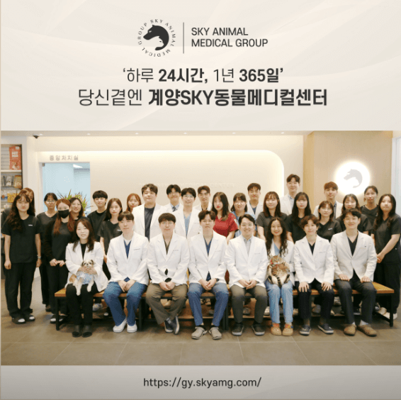 인천 계양구 동물병원