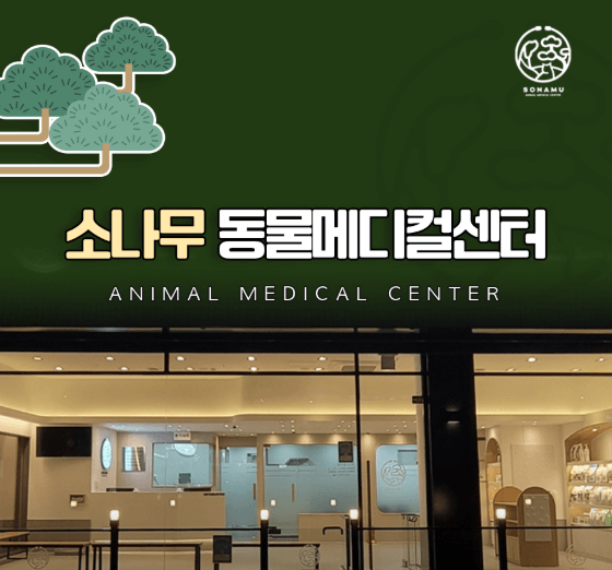 인천 계양구 동물병원