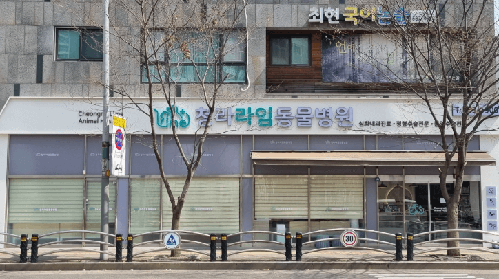 인천 서구 동물병원