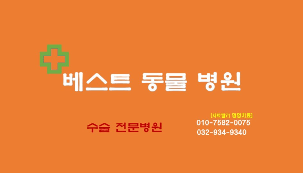 인천 강화군 동물병원