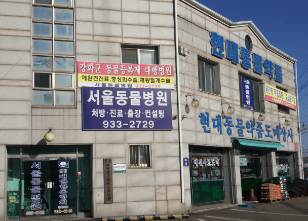 인천 강화군 동물병원