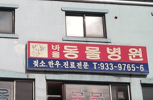 인천 강화군 동물병원