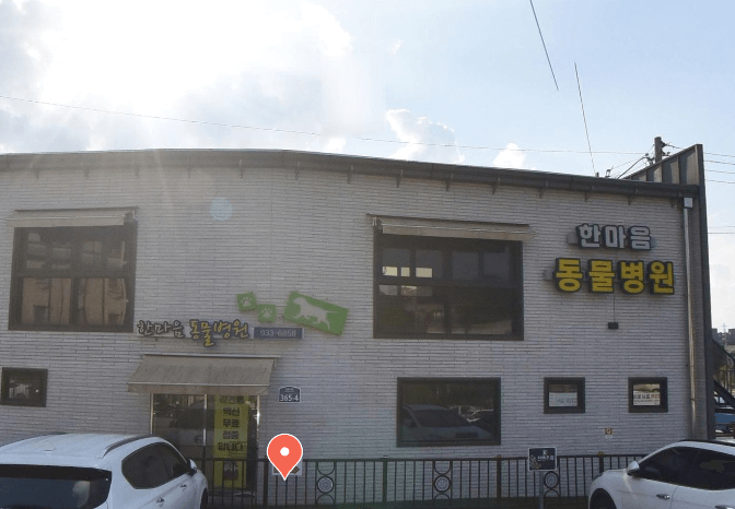 인천 강화군 동물병원