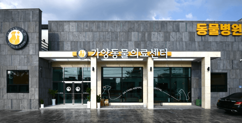 대전 동구 동물병원