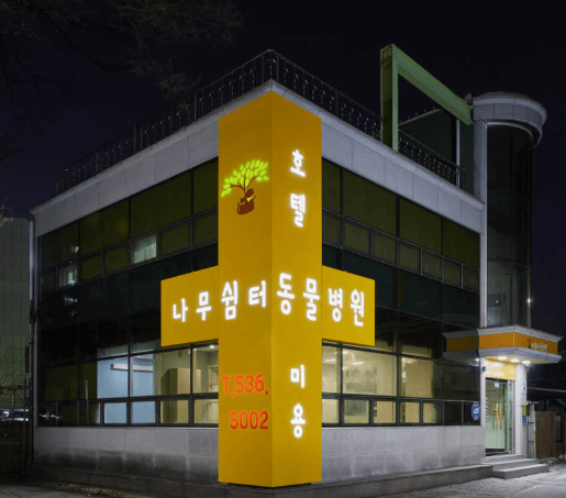 대전 중구 동물병원