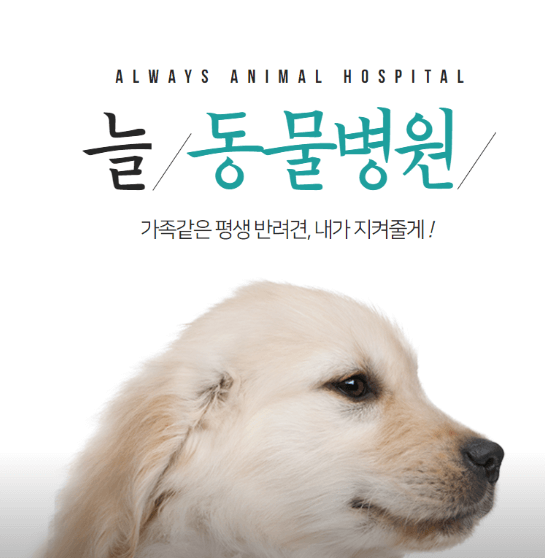 대전 중구 동물병원