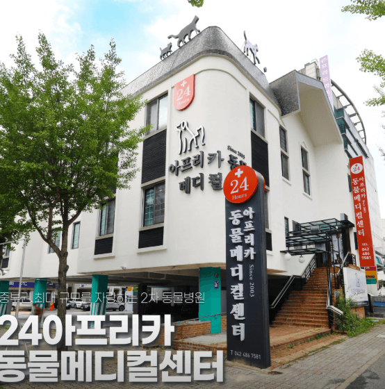 대전 서구 동물병원