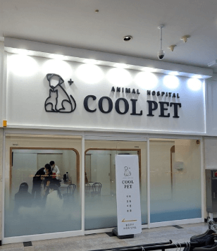 대전 서구 동물병원