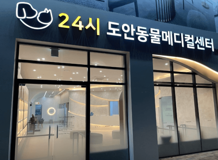 대전 서구 동물병원