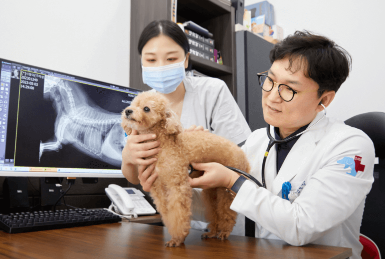 대전 유성구 동물병원