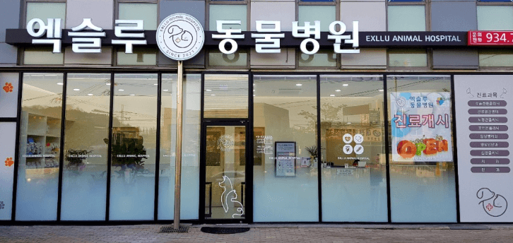 대전 대덕구 동물병원