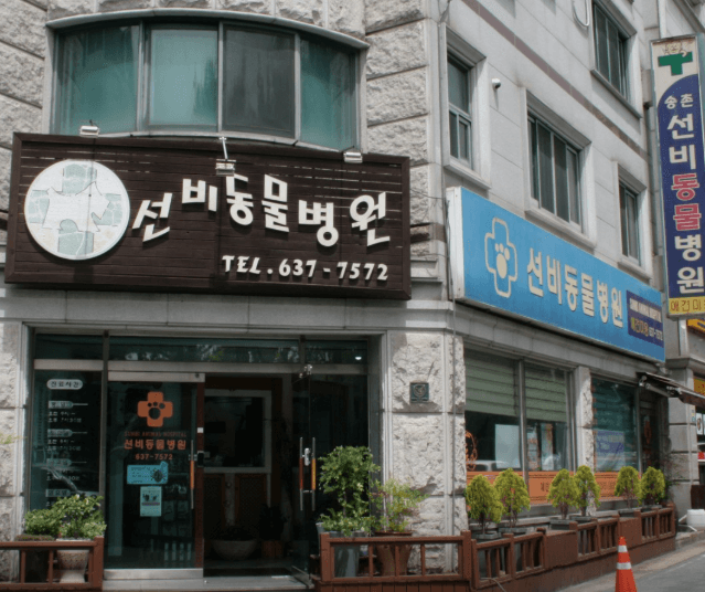 대전 대덕구 동물병원