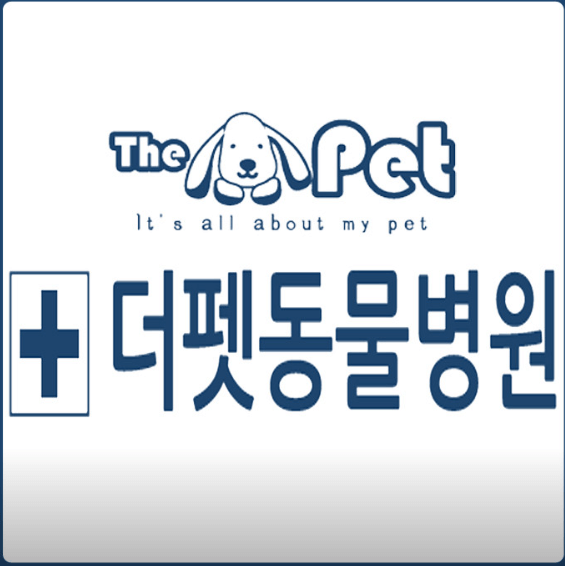 대전 대덕구 동물병원