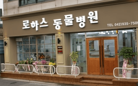 대전 대덕구 동물병원