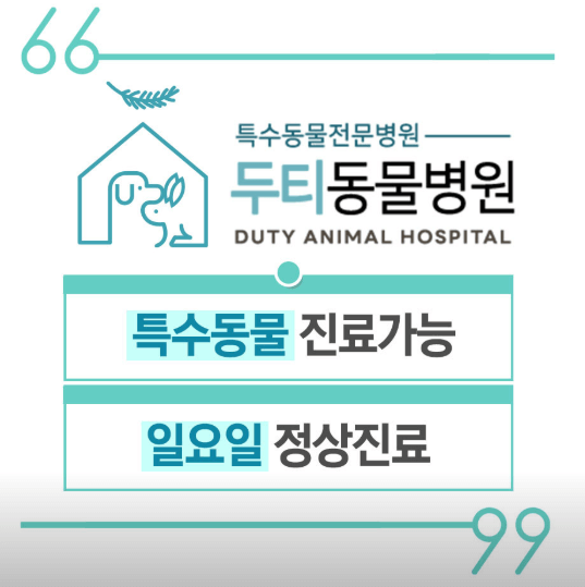 대구 중구 동물병원