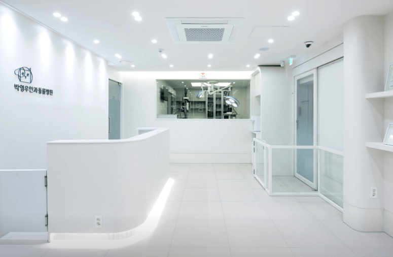 대구 중구 동물병원