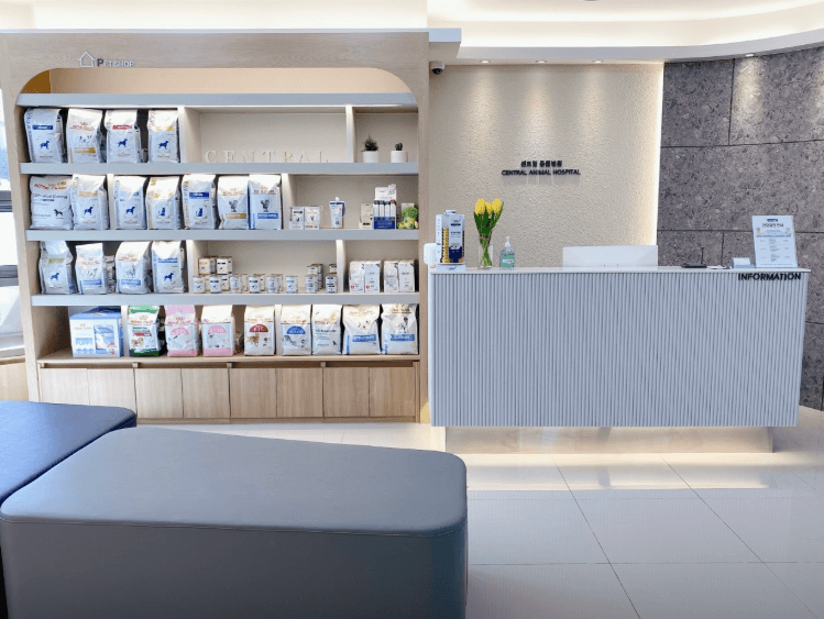 대구 중구 동물병원