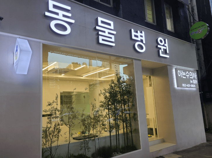 대구 중구 동물병원