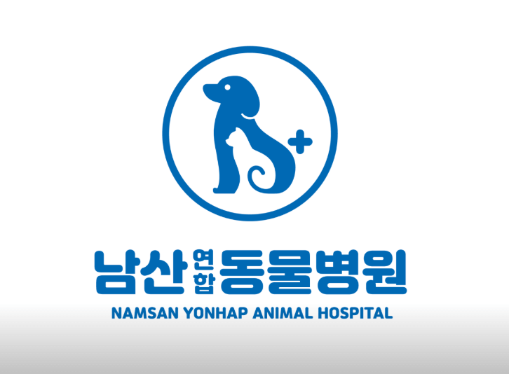 대구 중구 동물병원