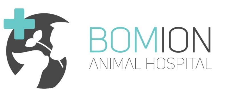 대구 동구 동물병원