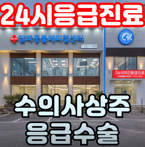 대구 서구 동물병원