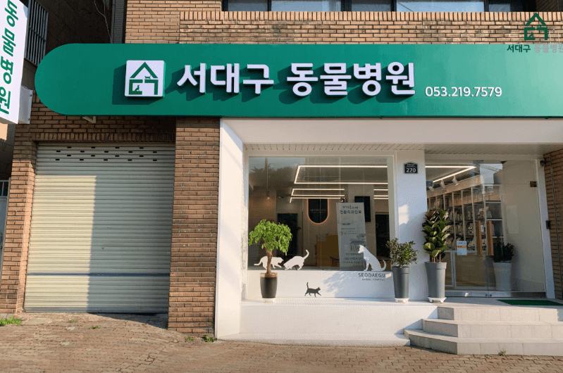 대구 서구 동물병원