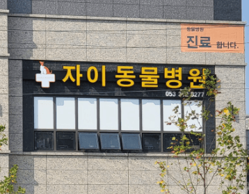 대구 서구 동물병원