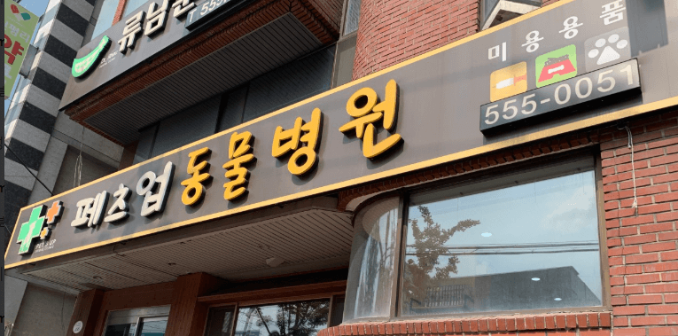 대구 서구 동물병원