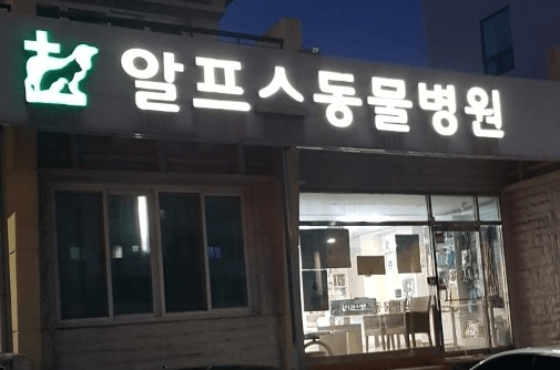 대구 남구 동물병원