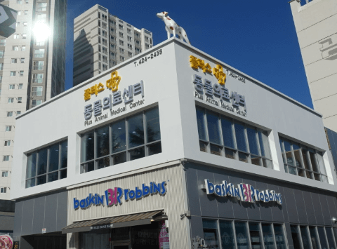 대구 북구 동물병원
